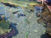 Открытый аквариум с рыбками, океанариум в Эйлате, Израиль