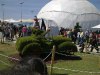 Забавные фигуры из растений, выставка цветов в Хайфе, Израиль