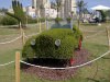 Автомобиль из живых растений, выставка цветов в Хайфе, Израиль