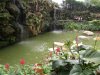 Ботанический сад "Утопия" 