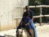 Израиль: парк "Сафари" в Рамат-Гане. На верблюде