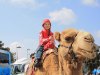 Израиль в апреле