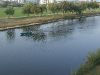 Река Яркон
