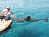 Общение с дельфинами, Эйлат, Израиль