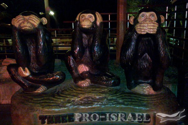 Бар "Три обезьяны", Эйлат, Израиль