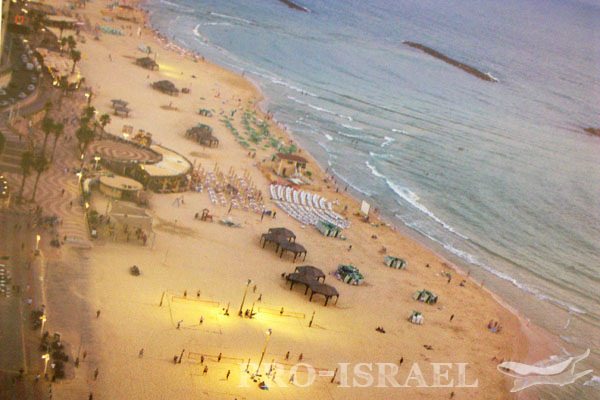 Солнечные пляжи Тель-Авива, Израиль