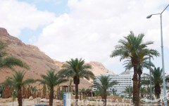Оздоровительный отдых на Мертвом море