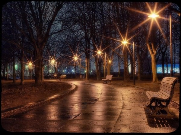 Хайфа засветится ярче